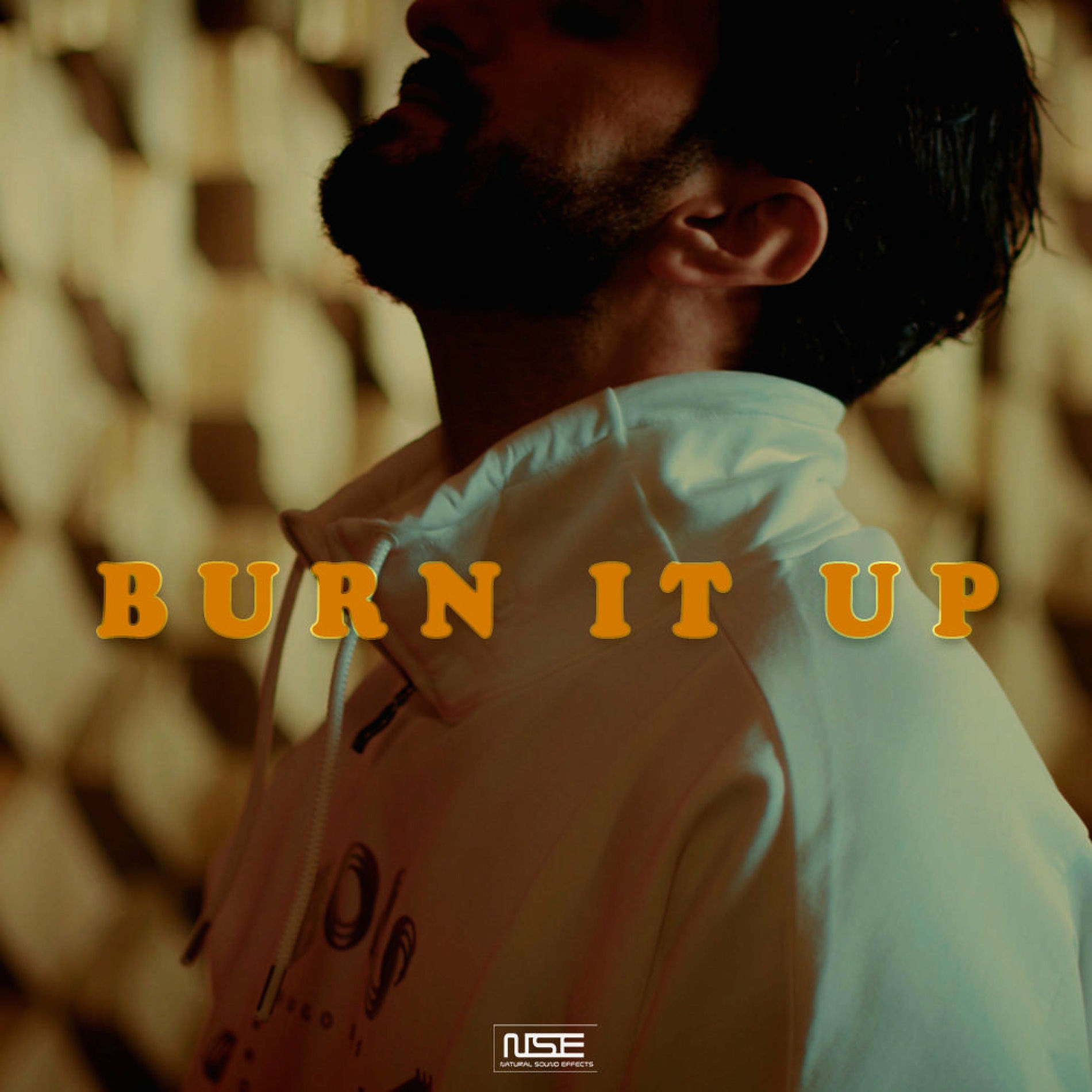 Album cover of Burn It Up