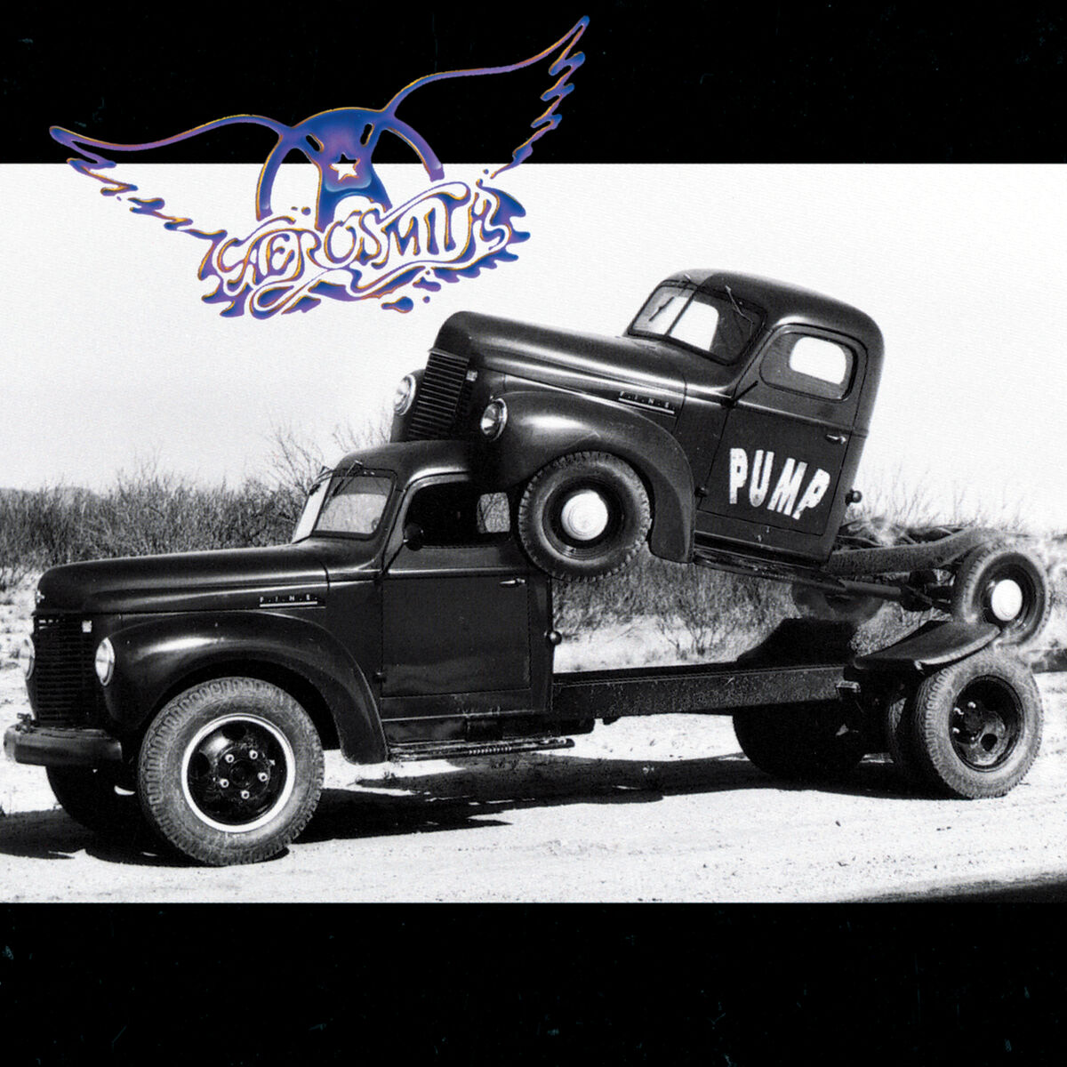 Album cover of Pump