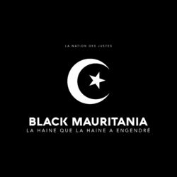 Cover of Black Mauritania