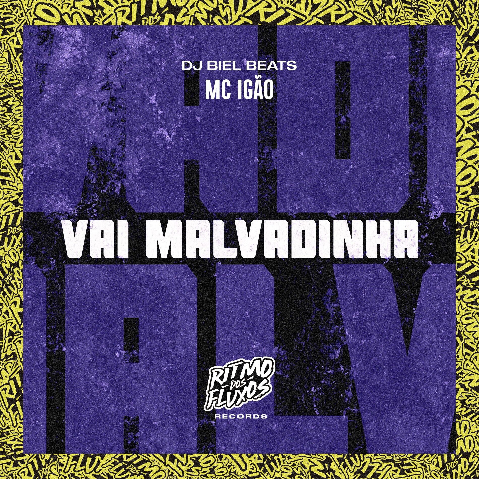 Album cover of Vai Malvadinha