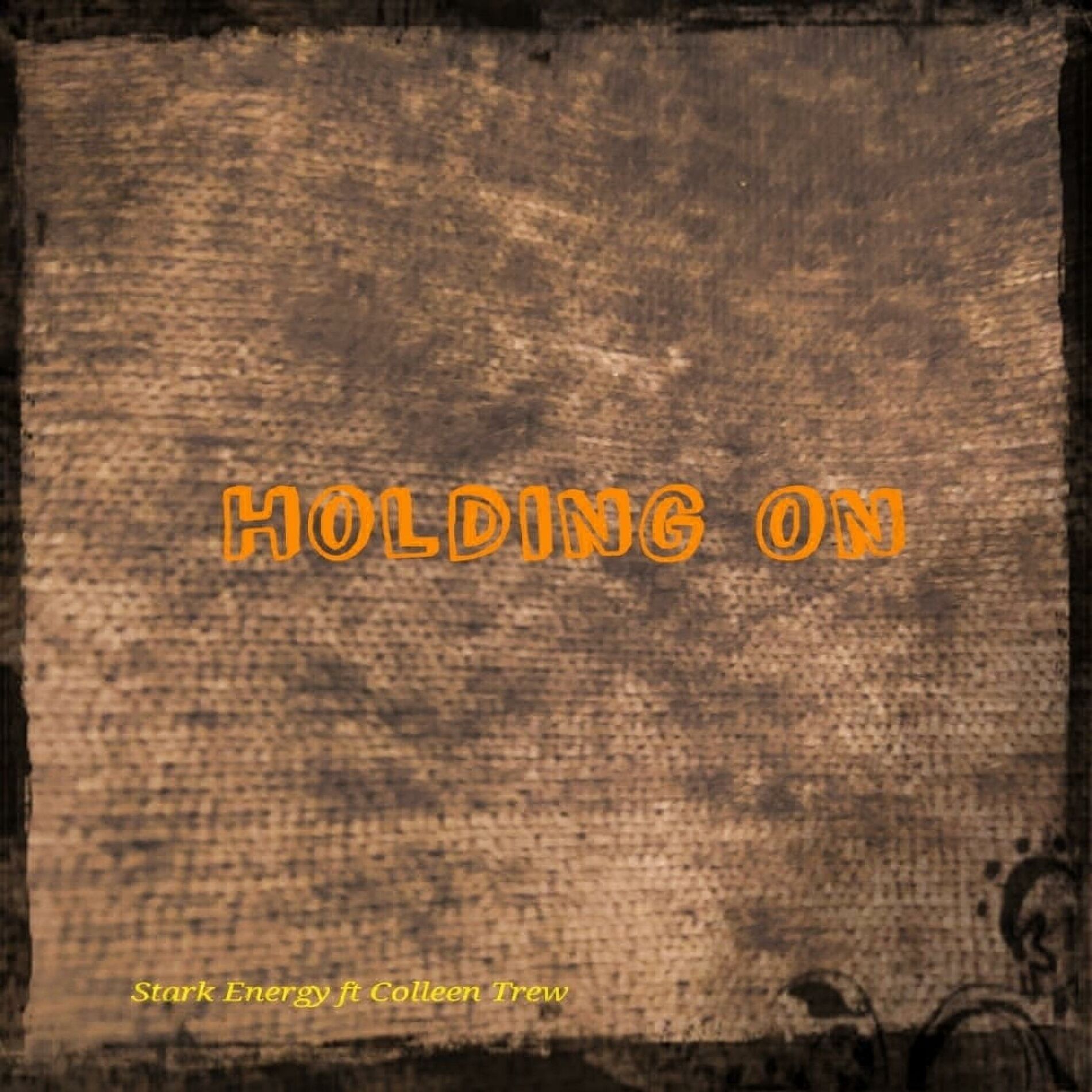 Album cover of Holding On (feat. Colleen)
