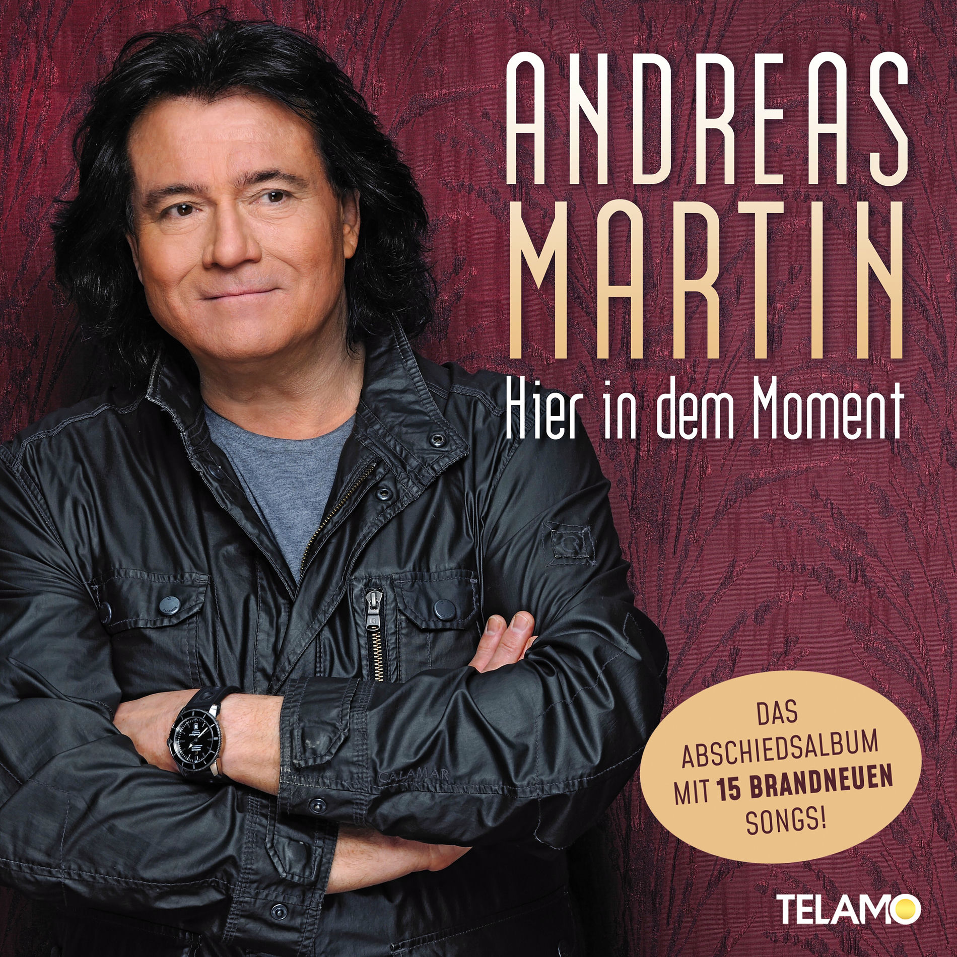 Album cover of Die ganze Nacht