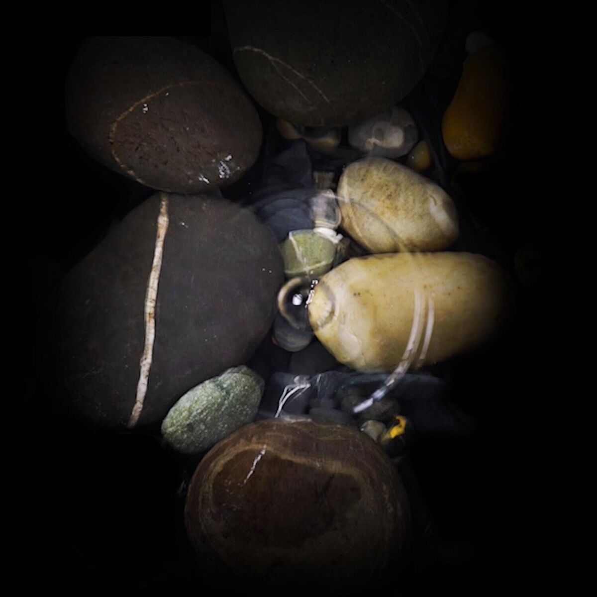 Album cover of Alchemy