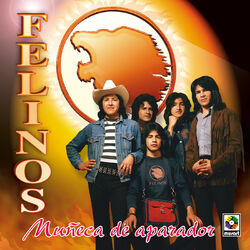 Cover of Muñeca de Aparador