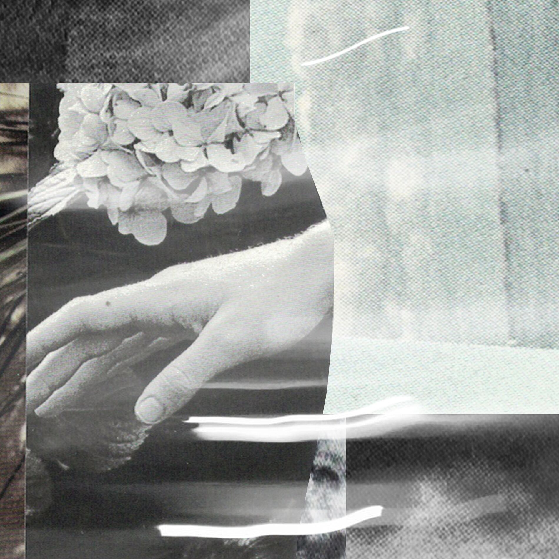 Album cover of knowledge