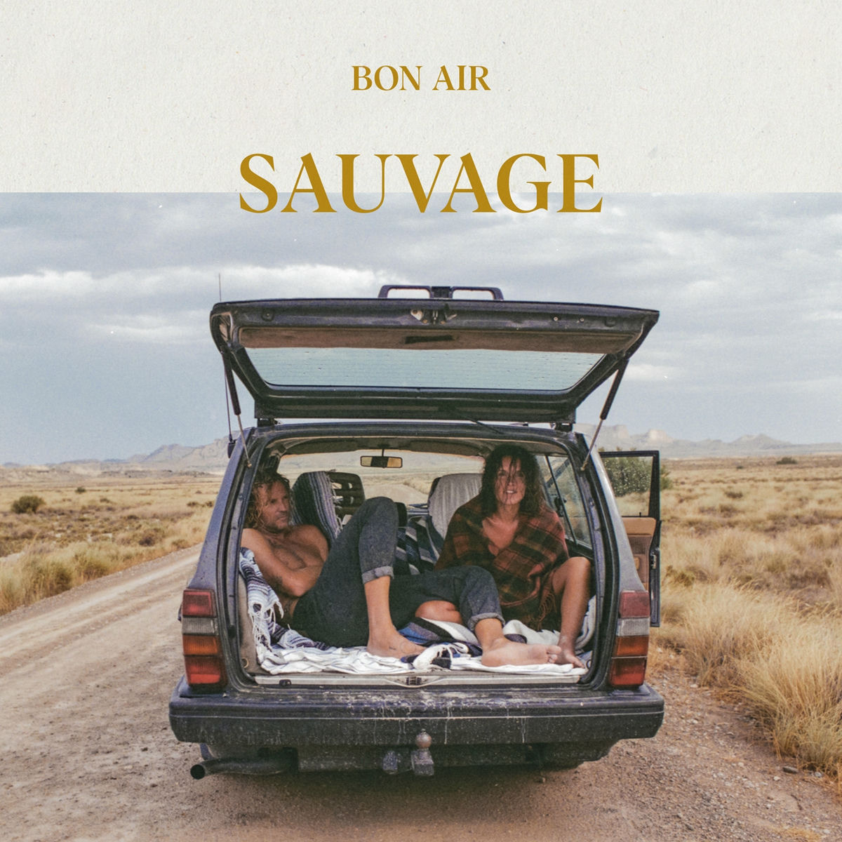 Album cover of Sauvage