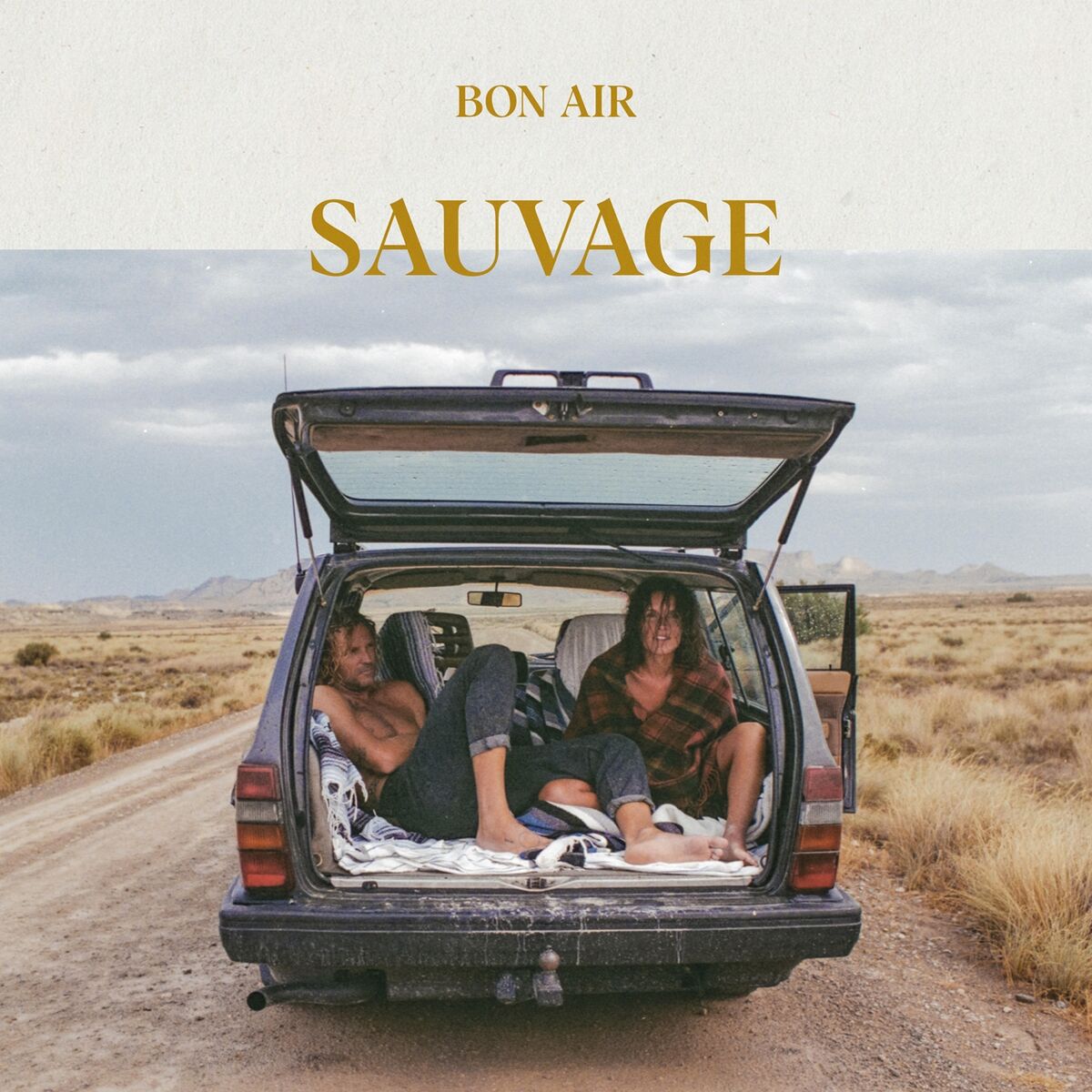 Album cover of Sauvage