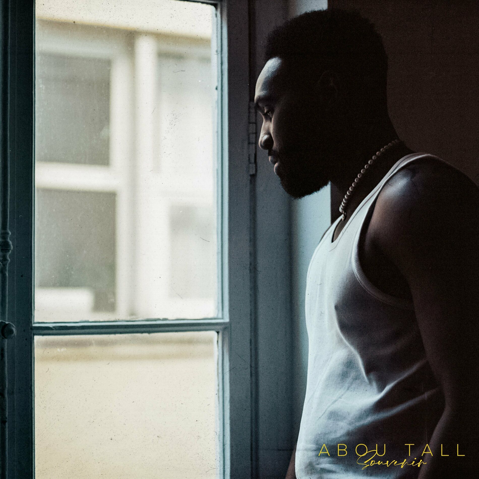Album cover of Souvenir