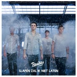 Cover of Slapen zal ik niet laten