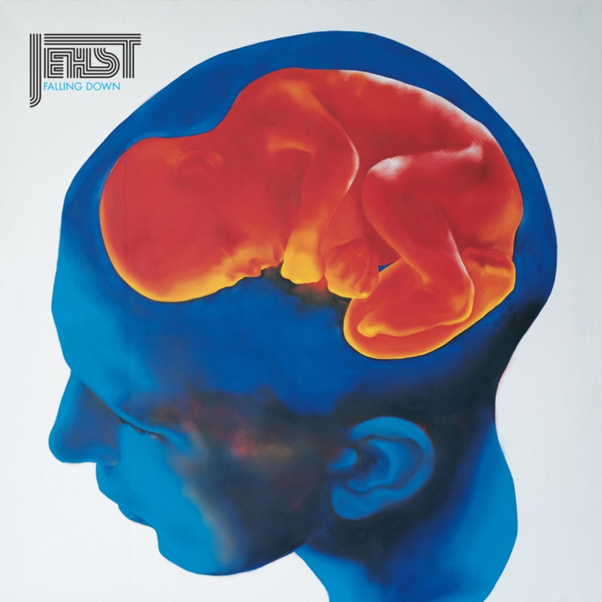 Album cover of Falling Down