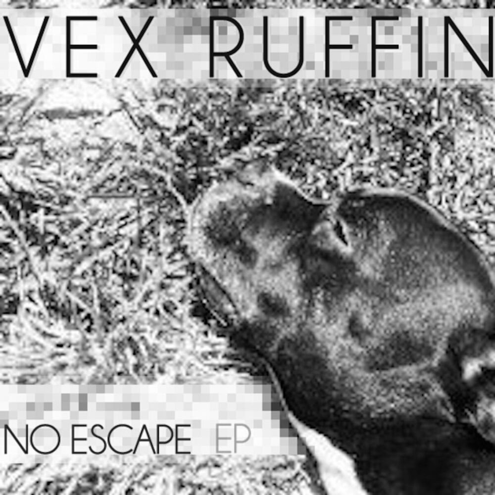 Picture of No Escape
