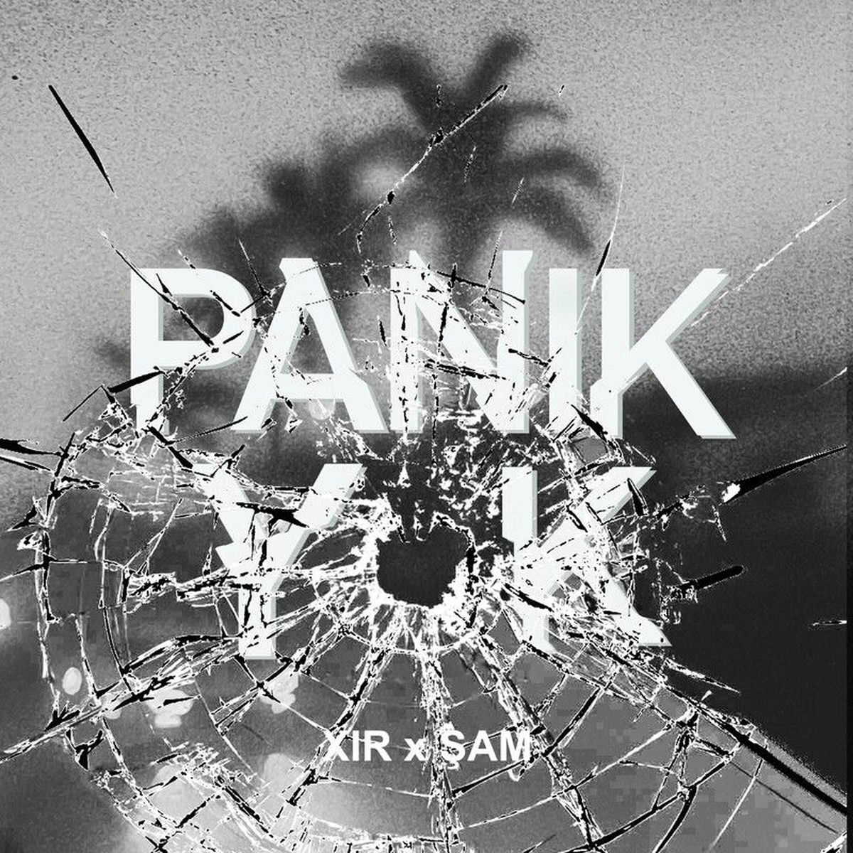 Album cover of PANİK YOK
