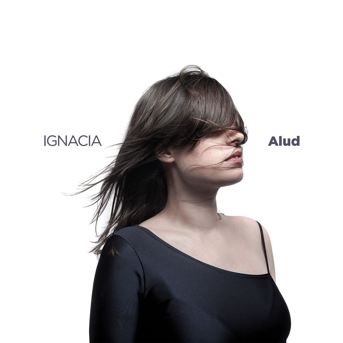 Album cover of Alud