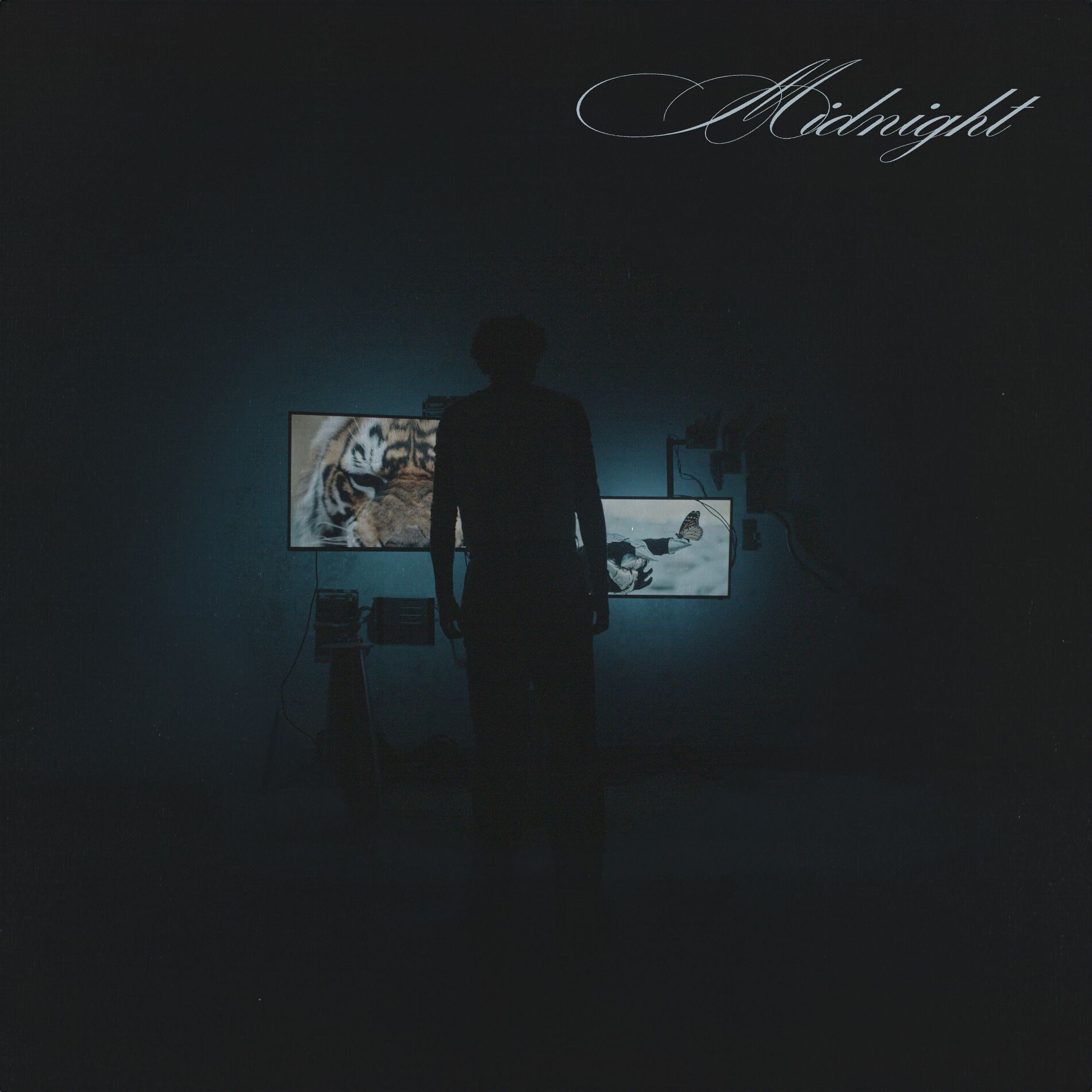 Album cover of MiDNiGHT