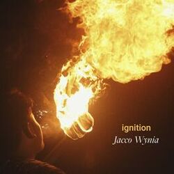 Cover of ignition