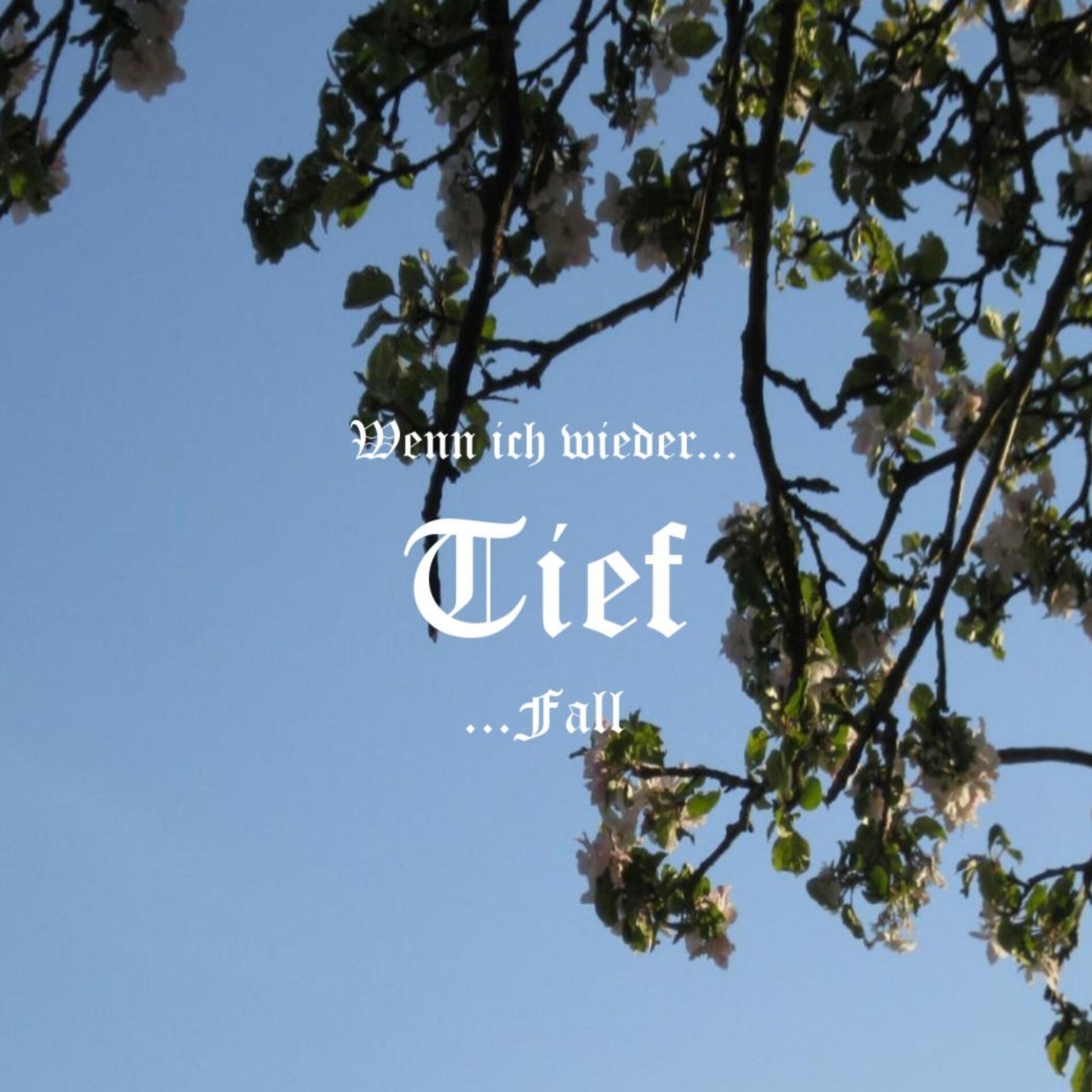 Album cover of Tief (feat. Niclov)