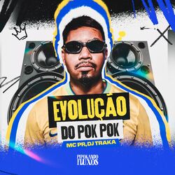 Cover of Evolução do Pok Pok