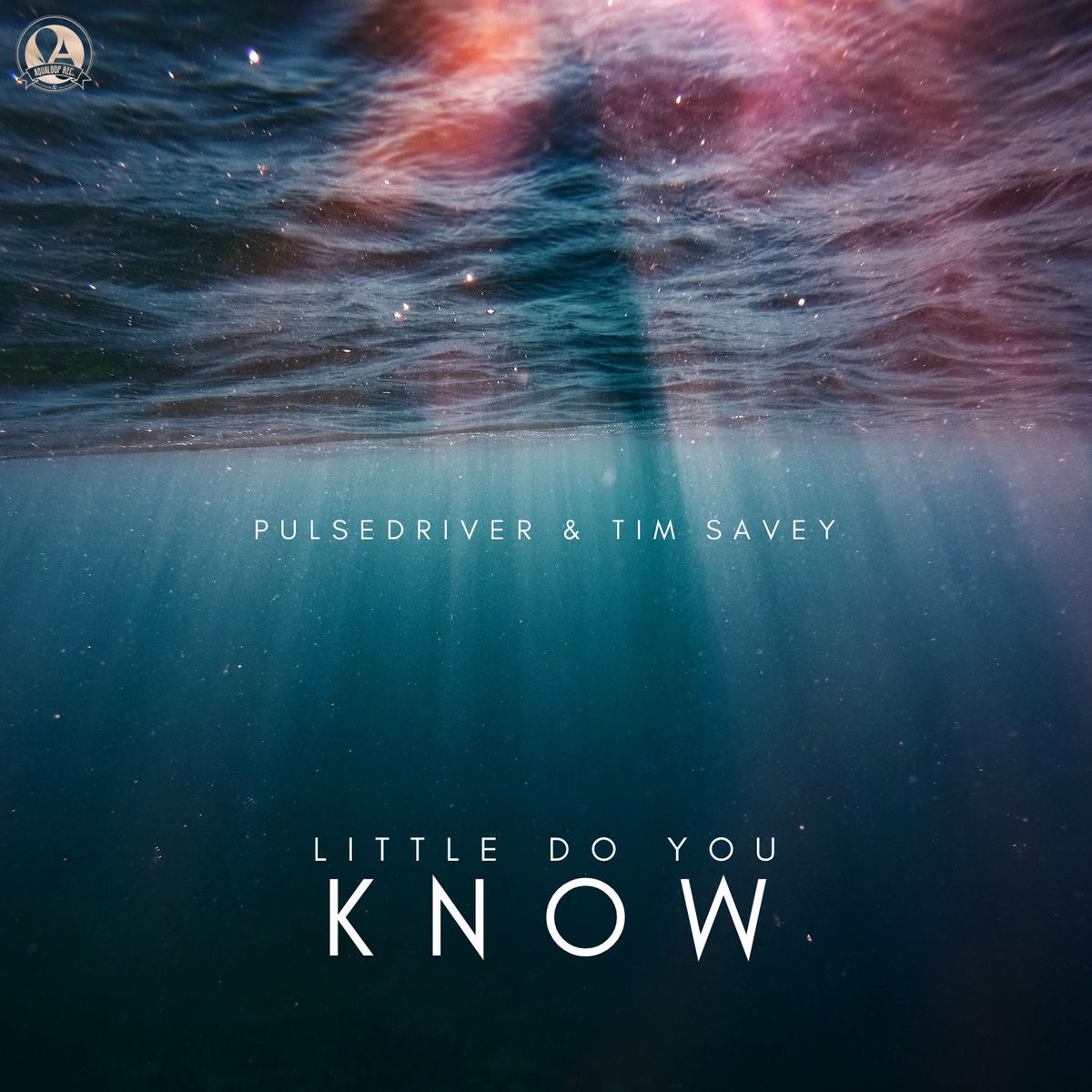 Album cover of Little Do You Know