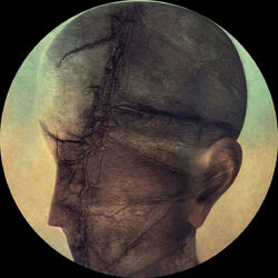 Cover of Execution