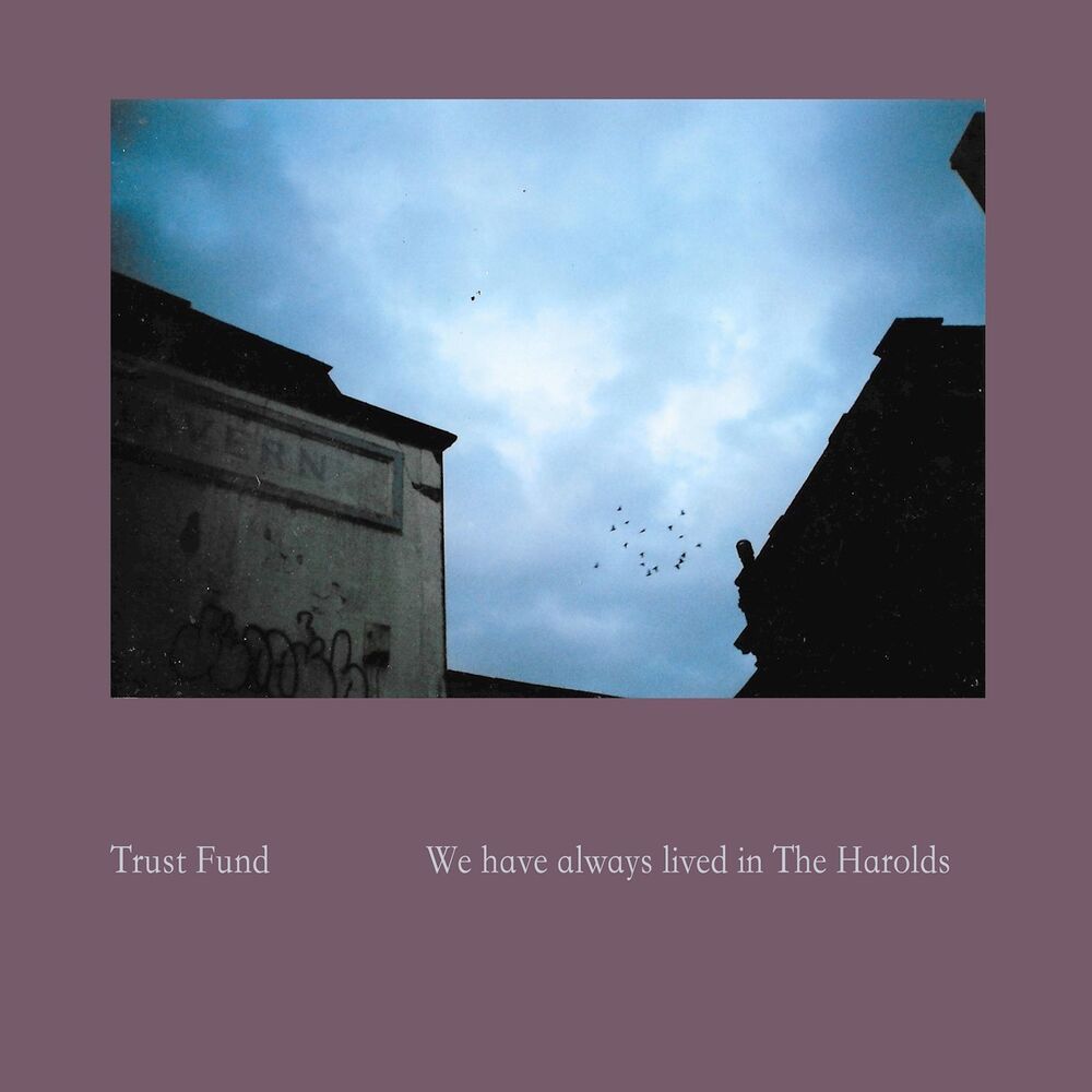 Picture of We have always lived in The Harolds