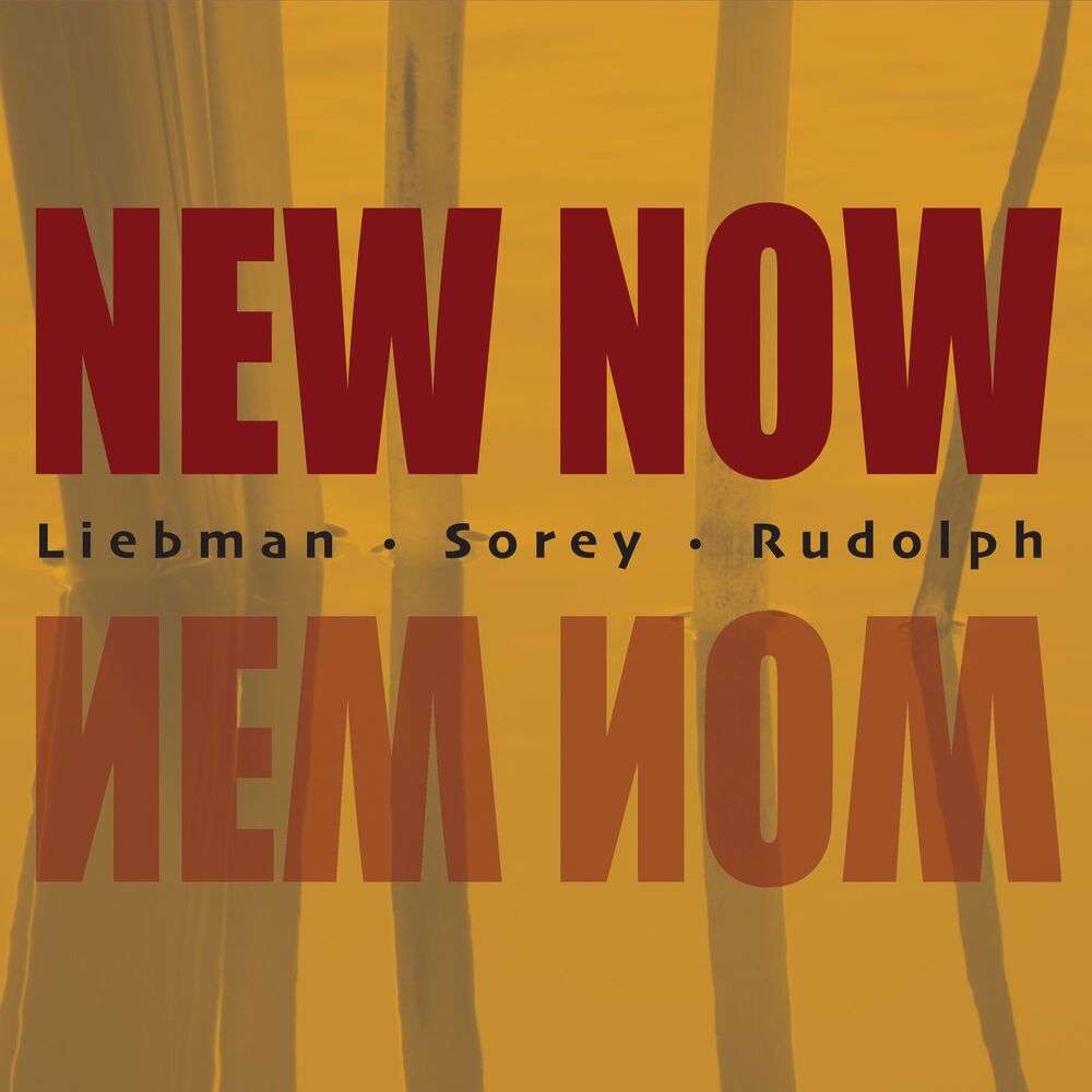 Picture of New Now