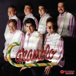 Cover of Soledad Sin Fin
