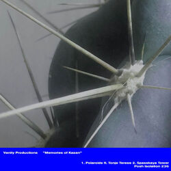 Cover of Memories of Kazan