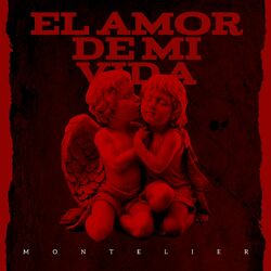 Cover of El Amor De Mi Vida