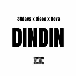Cover of dindin