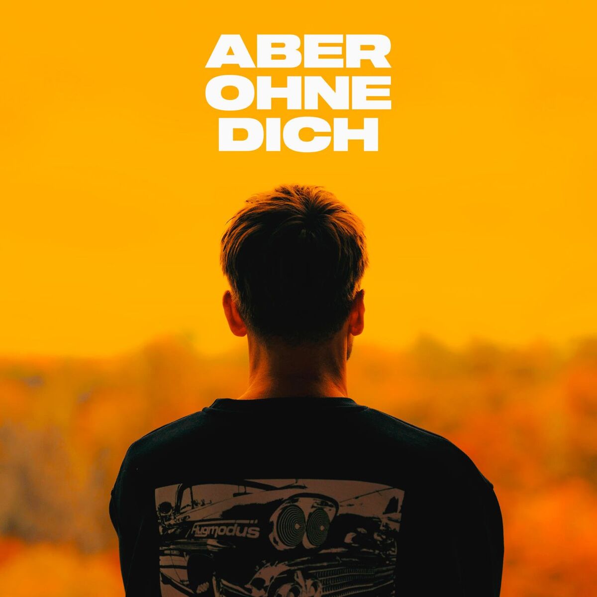 Album cover of Aber Ohne Dich
