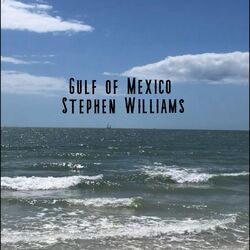 Cover of Gulf of Mexico