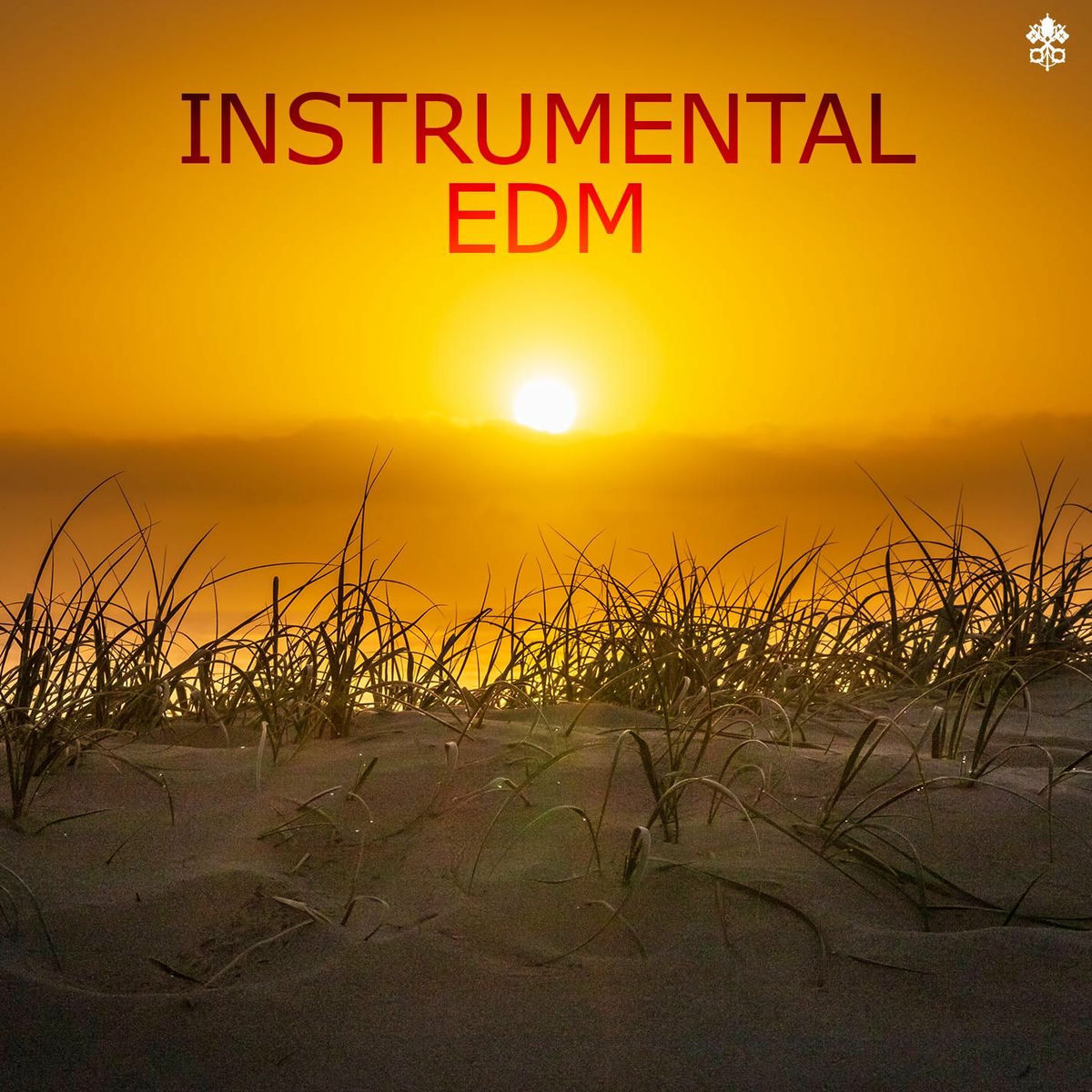 Album cover of Instrumental EDM