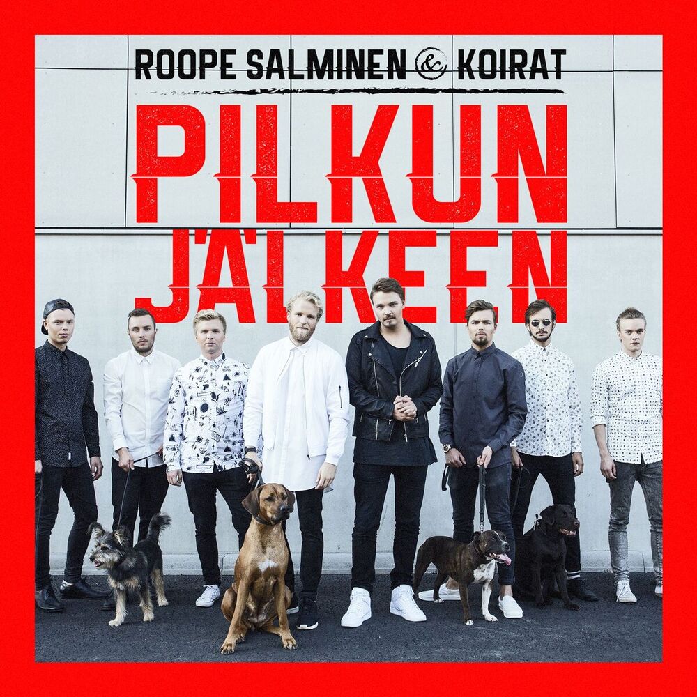 Picture of Pilkun jälkeen