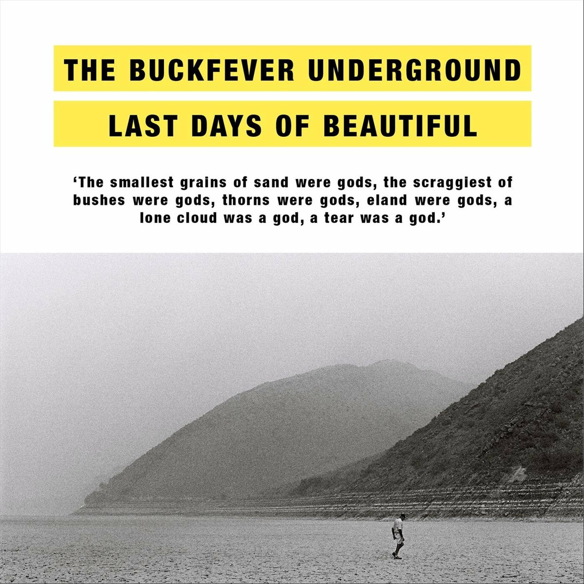Album cover of Last Days of Beautiful