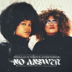 Cover of No Answer