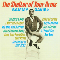 Cover of The Shelter Of Your Arms