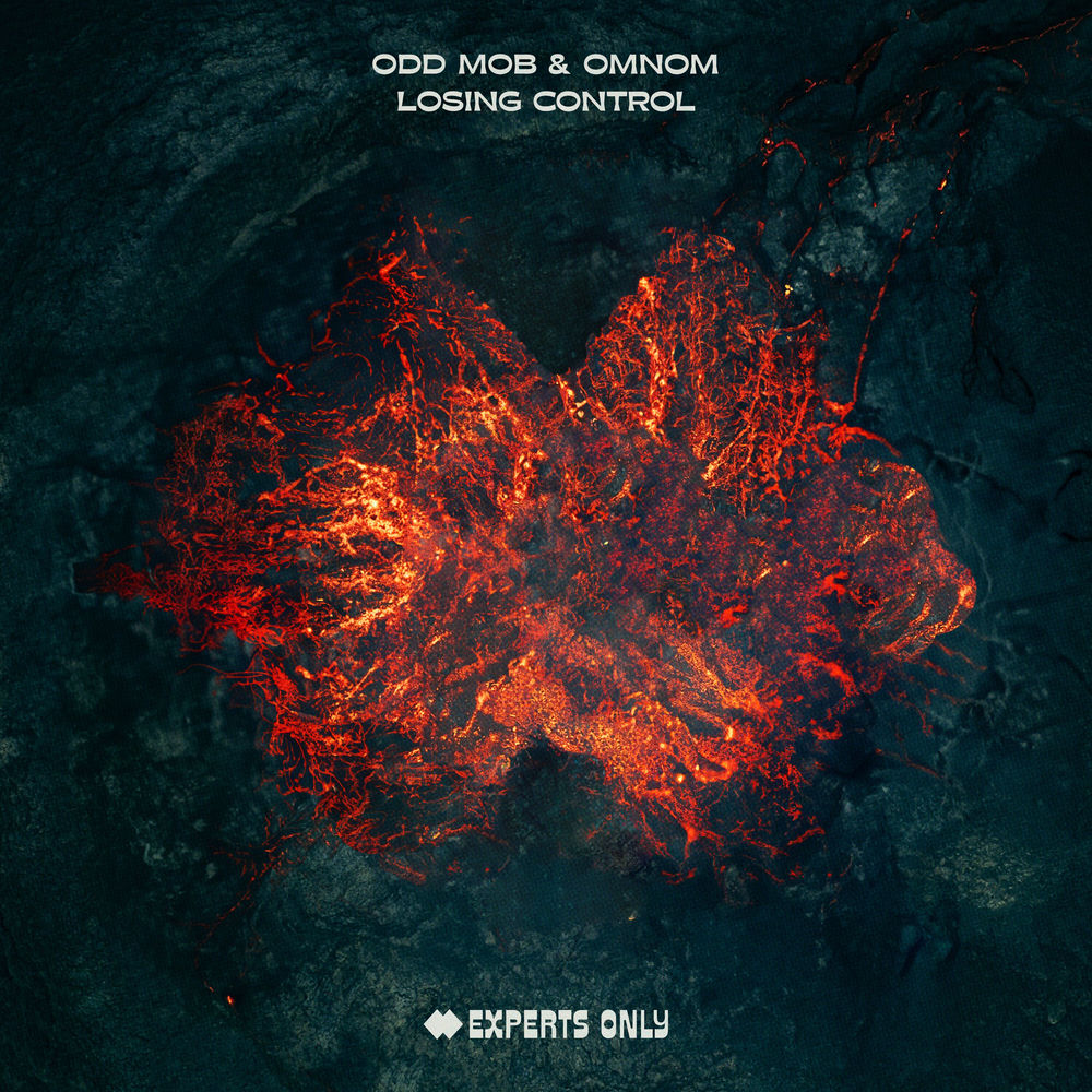 Album artwork for Losing Control by Odd Mob
