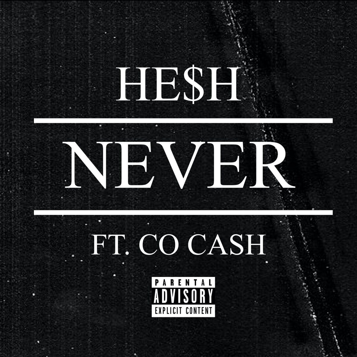 Album cover of Never (feat. Co Cash)