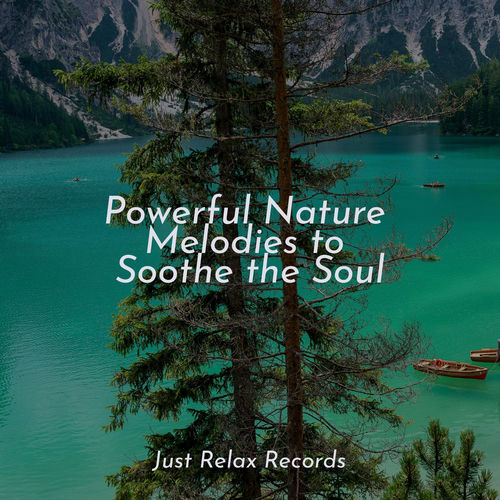 Powerful Nature Melodies to Soothe the Soul
