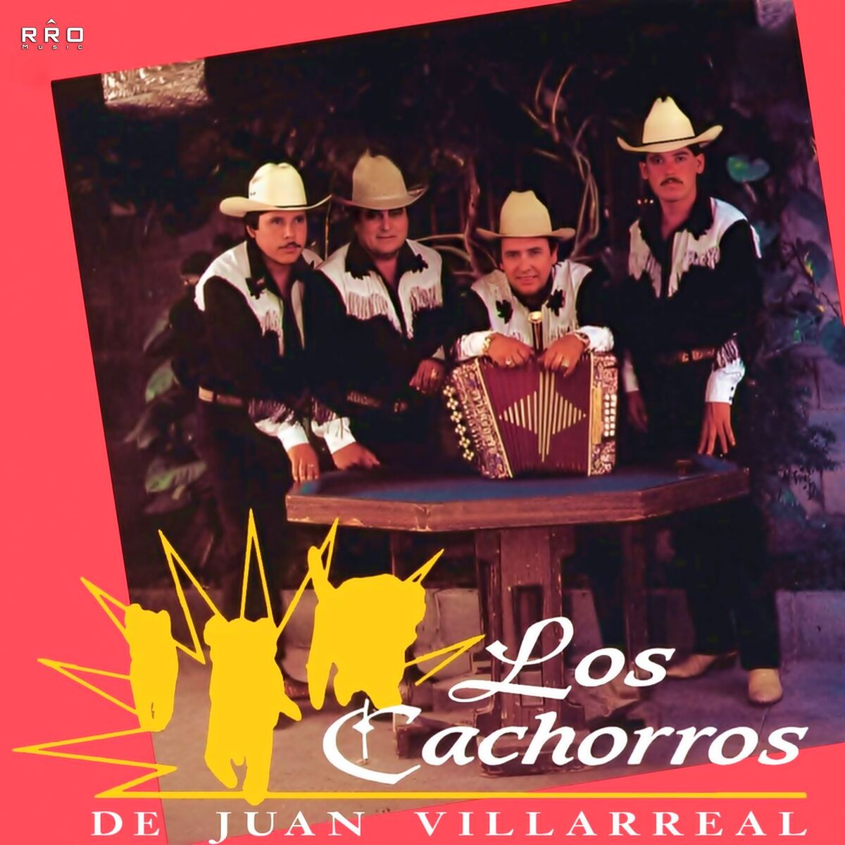 Album cover of Voy A Cantar Por No Llorar