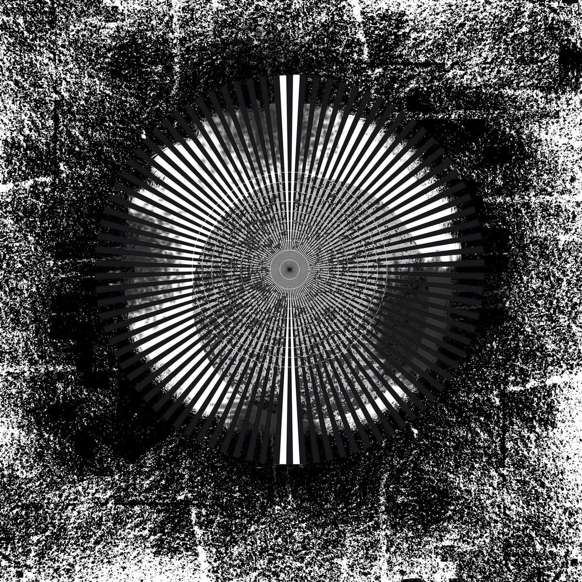 Album cover of Maxed out on Distractions
