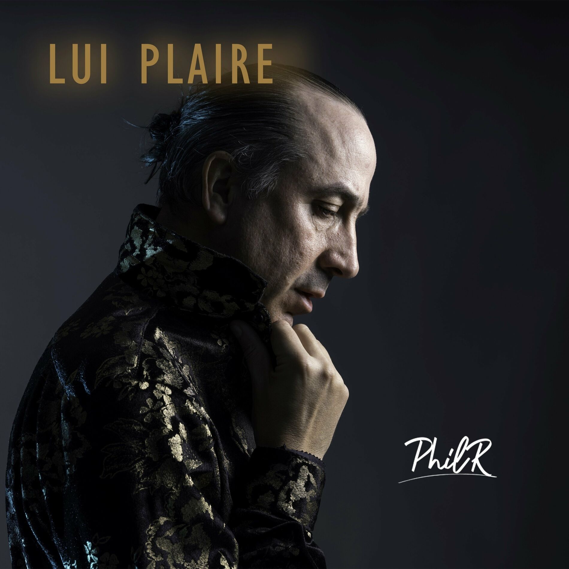 Album cover of Lui Plaire