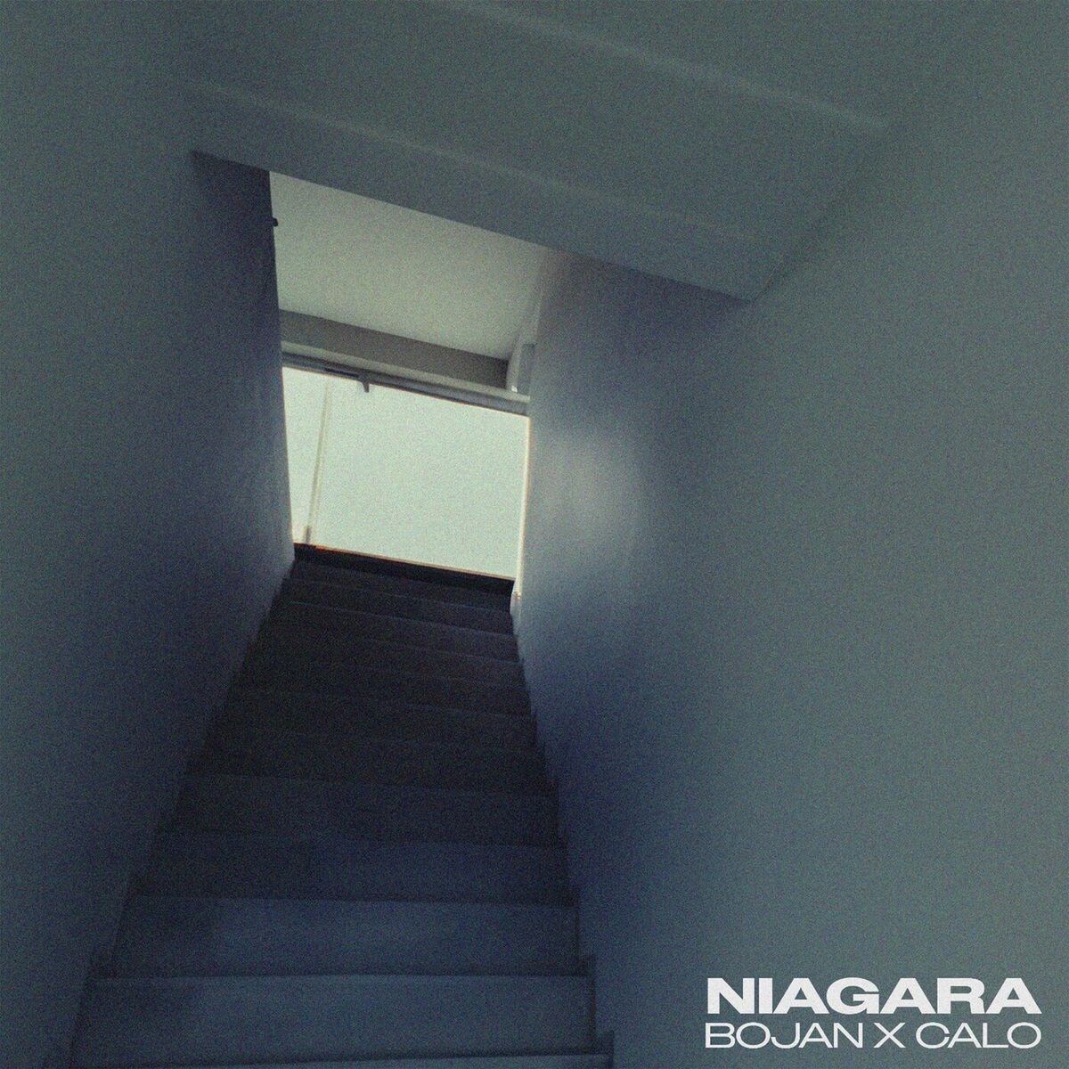 Album cover of NIAGARA