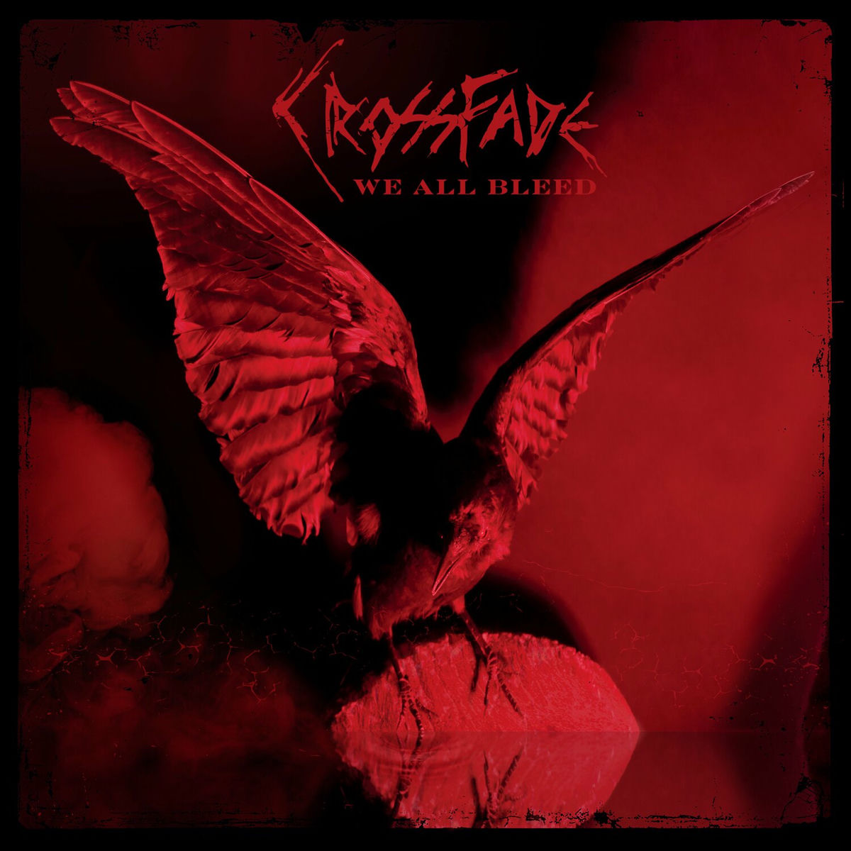 Album cover of Prove You Wrong