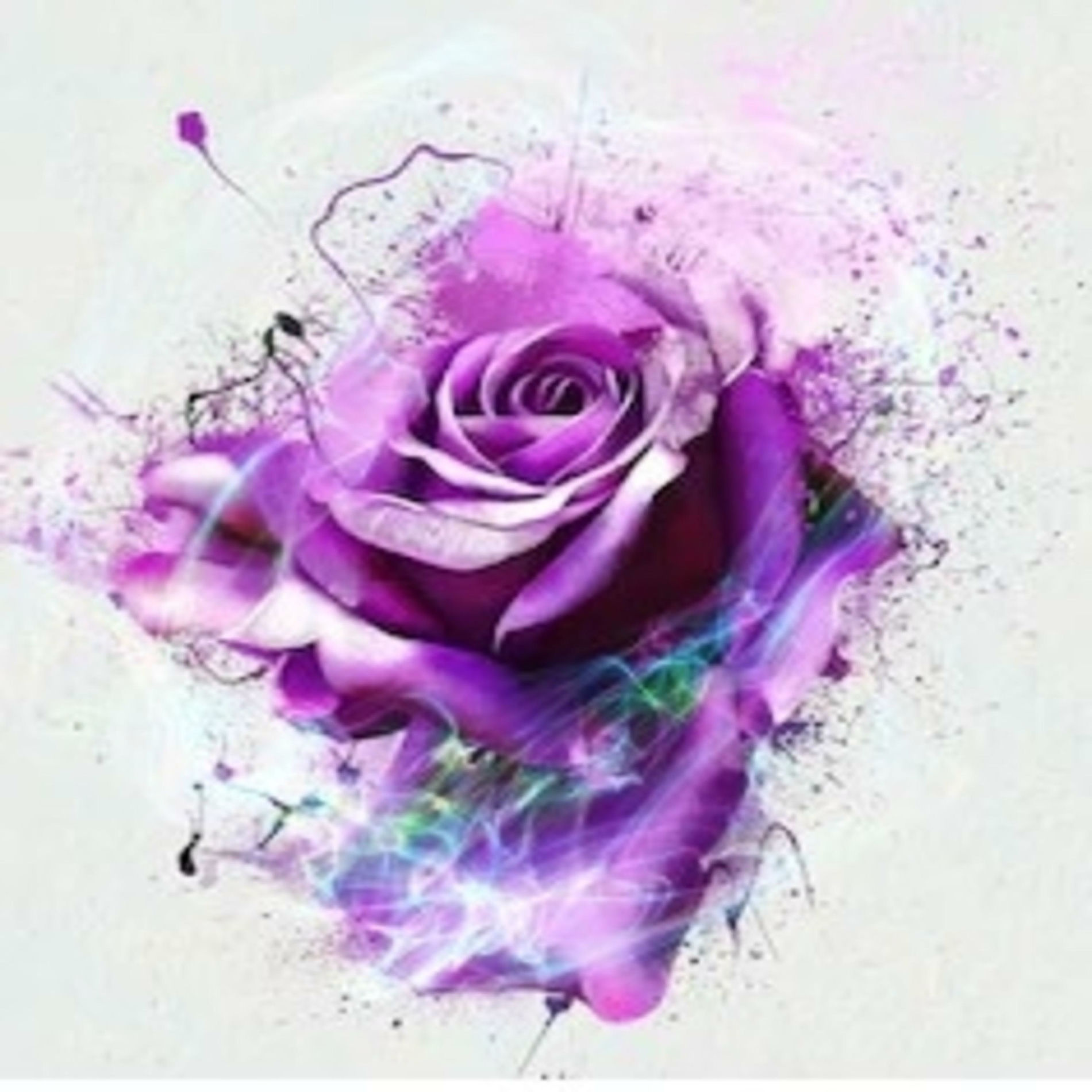 Album cover of Purple Roses