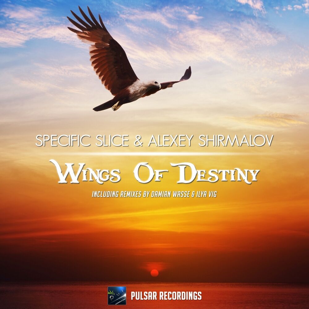 Picture of Wings Of Destiny