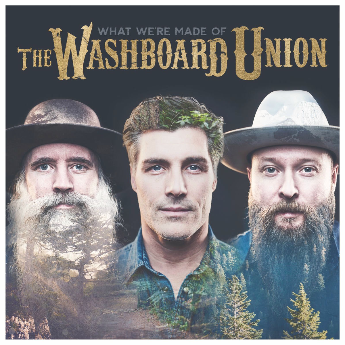 Album cover of What We're Made Of