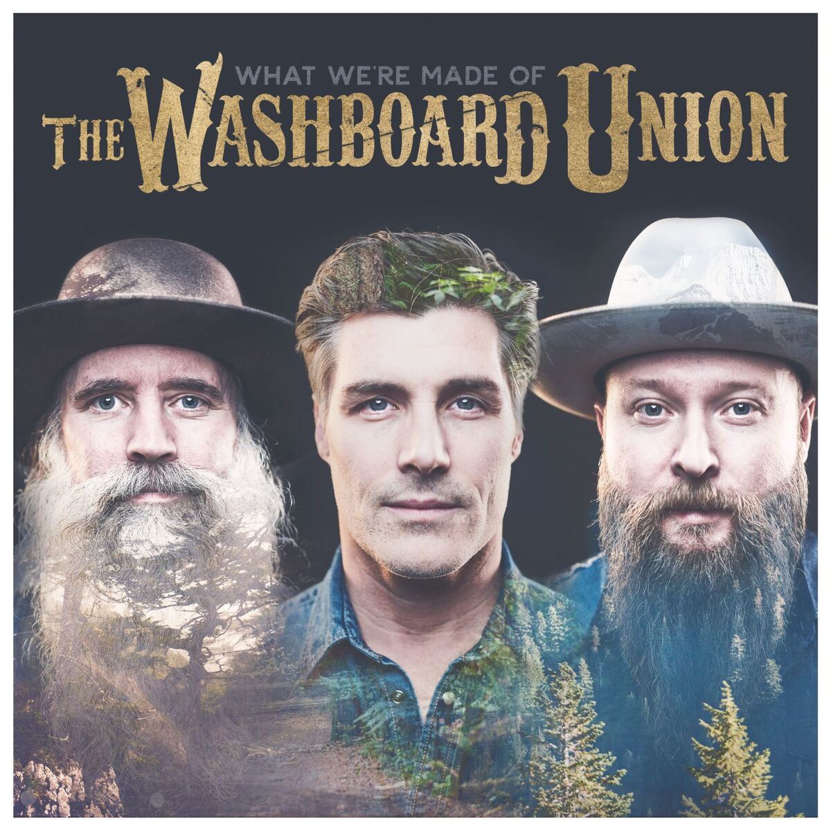 Album cover of What We're Made Of