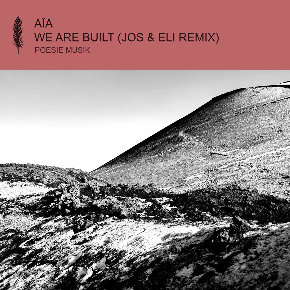 Album cover of We Are Built