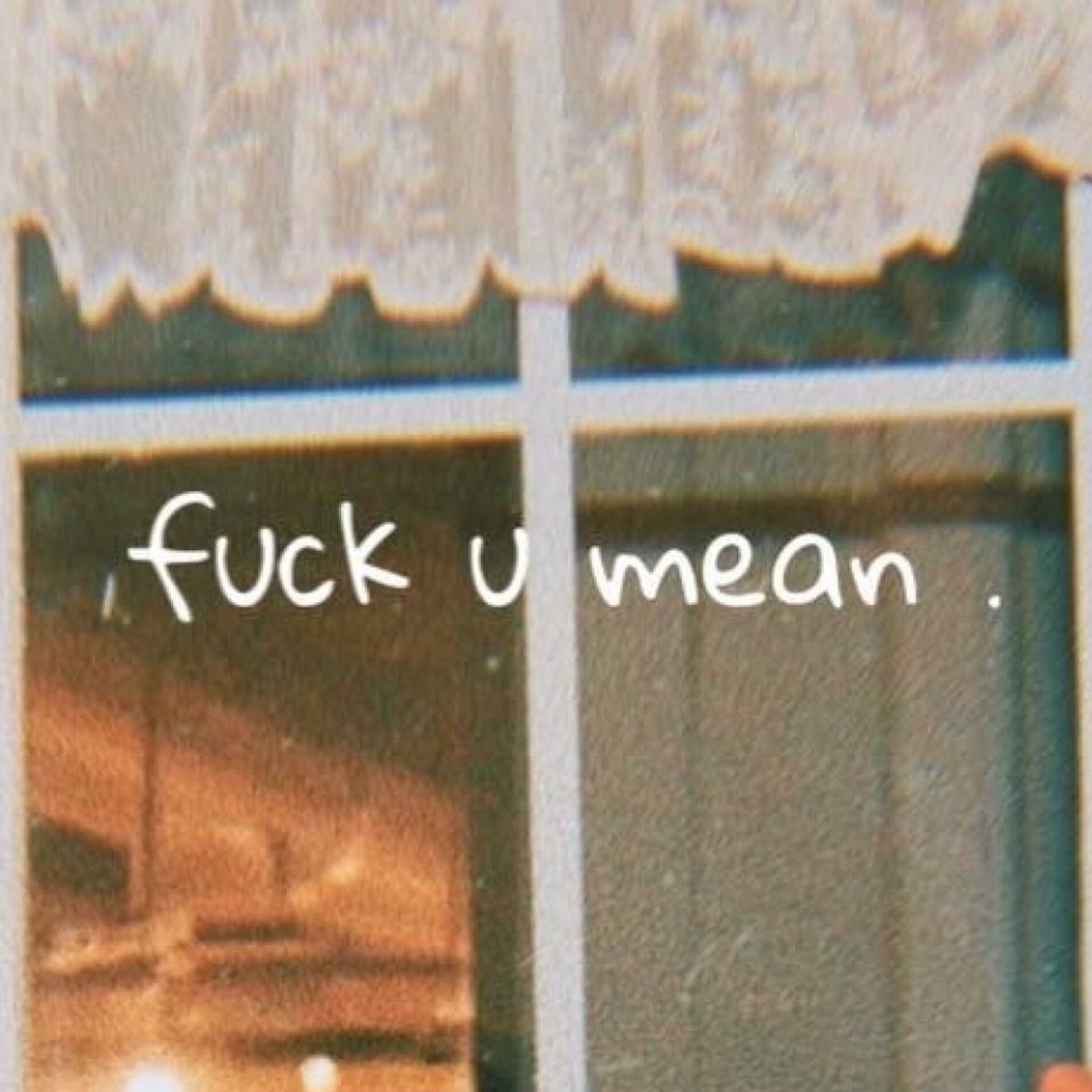 Album cover of fuck u mean (feat. Pranav.Wav)